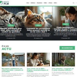 adopcje.org adopcje.org