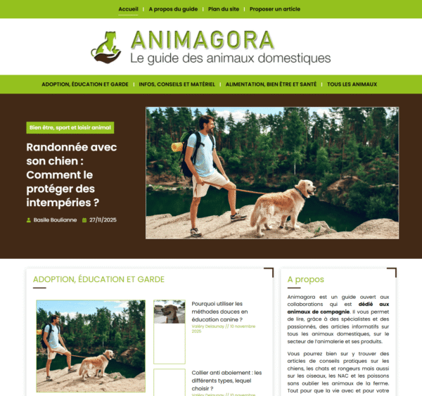 animagora.fr