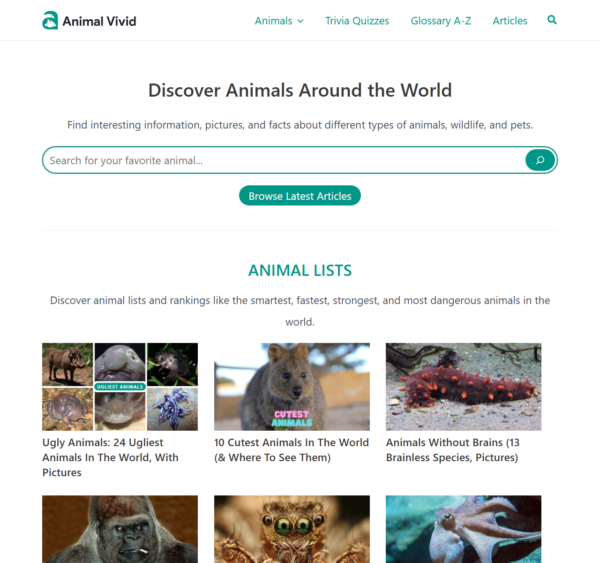 animalvivid.com