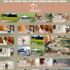 asuntoinfo.fi