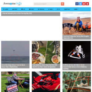 awesomejelly.com awesomejelly.com