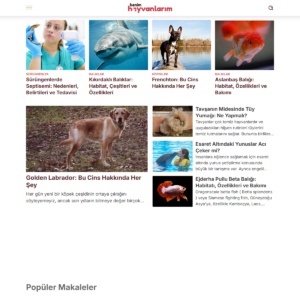 benimhayvanlarim.com benimhayvanlarim.com