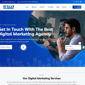 bitchipdigital.com bitchipdigital.com