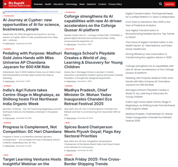 bizrapidx.com