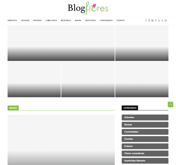 blog-flores.pt