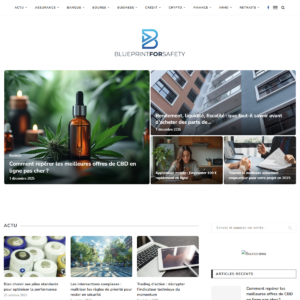 blueprintforsafety.org blueprintforsafety.org
