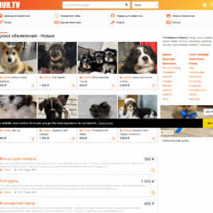 board.mur.tv board.mur.tv