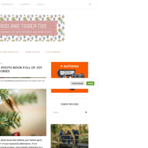 boorooandtiggertoo.com boorooandtiggertoo.com