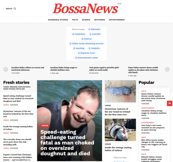 bossanews.com
