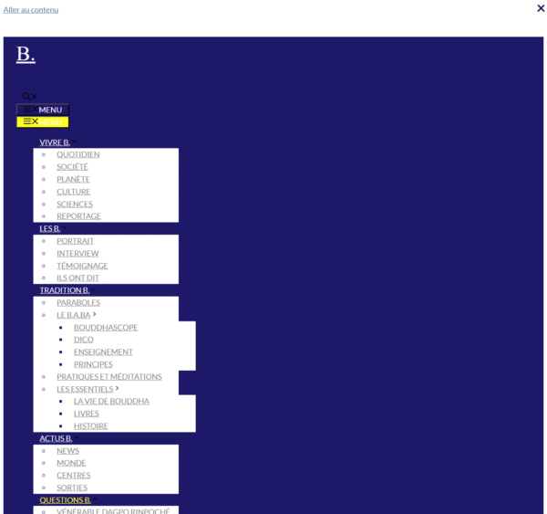 bouddhanews.fr