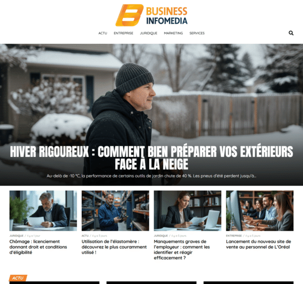 businessinfomedia.fr
