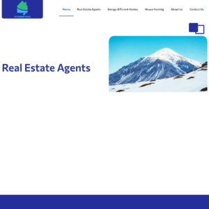 ctowncycle.com ctowncycle.com